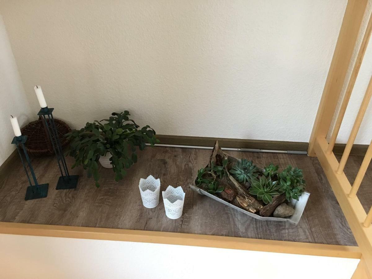 Ferienhaus Zur Sonne, Zislow Ngoại thất bức ảnh